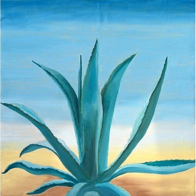 Agave